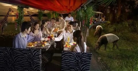 Singapore Night Safari